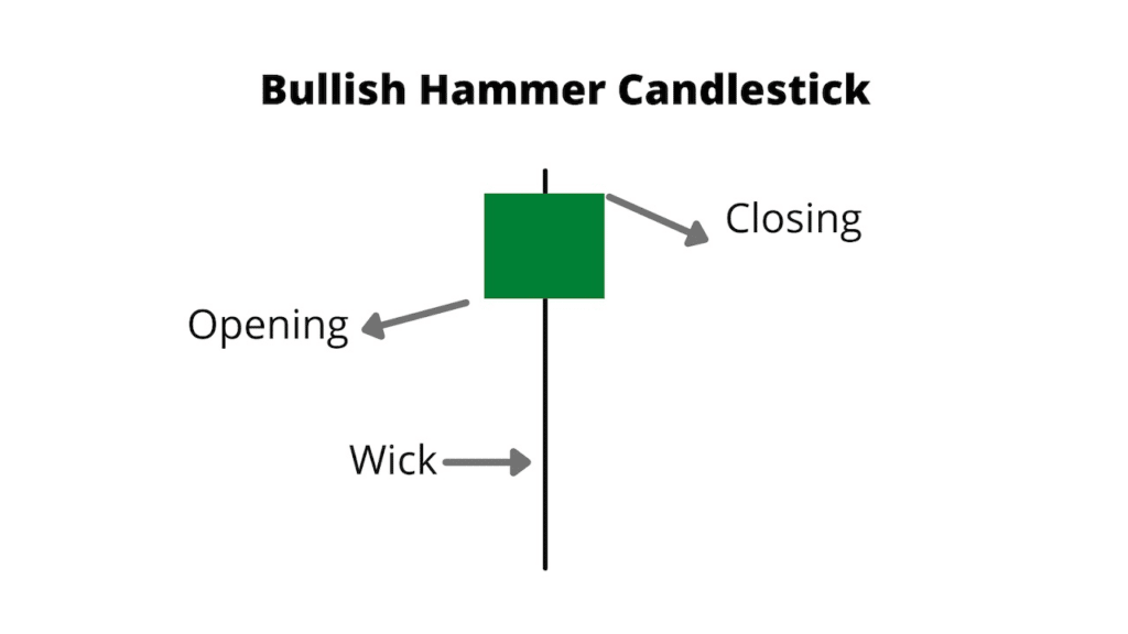 Bullish Hammer Image